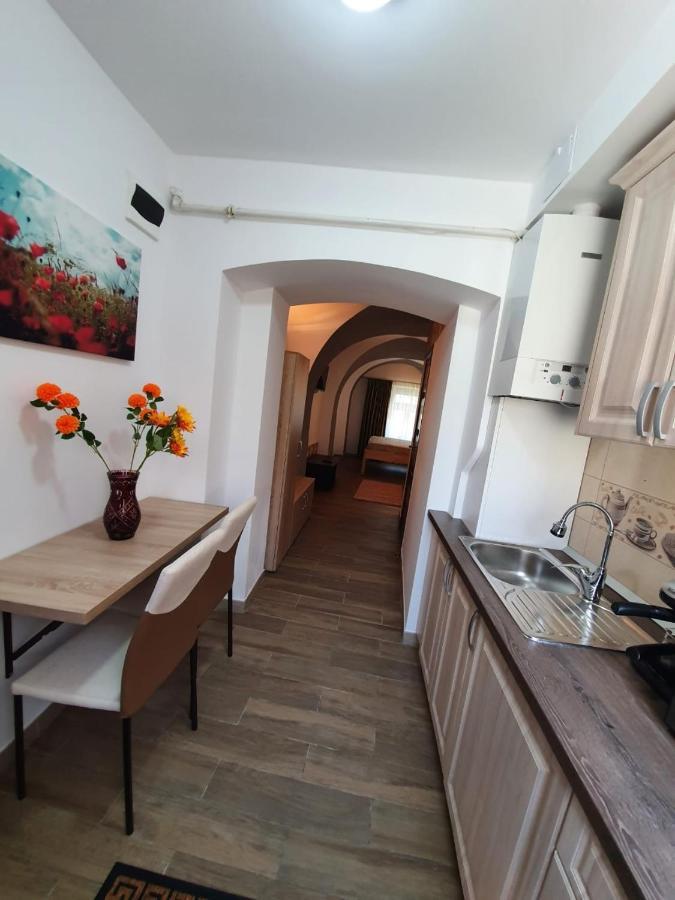 Appartement Radu Apartament à Sibiu Extérieur photo